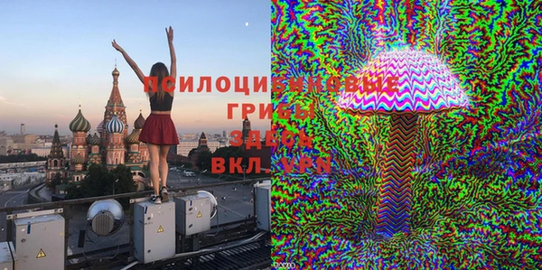 меф VHQ Дмитриев