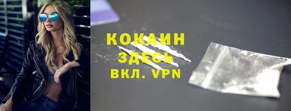 соль ск Дмитровск