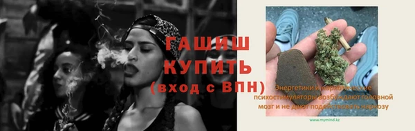 стафф Гусев